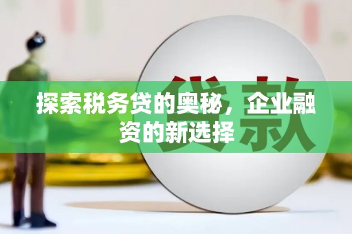 桑日探索税务贷的奥秘，企业融资的新选择