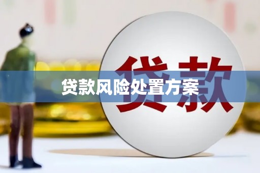 桑日贷款风险处置方案