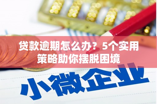桑日贷款逾期怎么办？5个实用策略助你摆脱困境