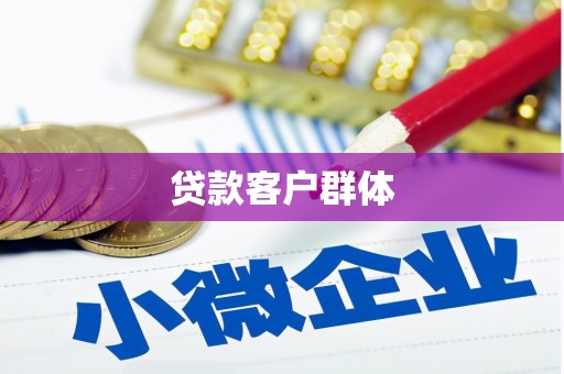 桑日贷款客户群体