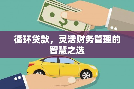 桑日循环贷款，灵活财务管理的智慧之选