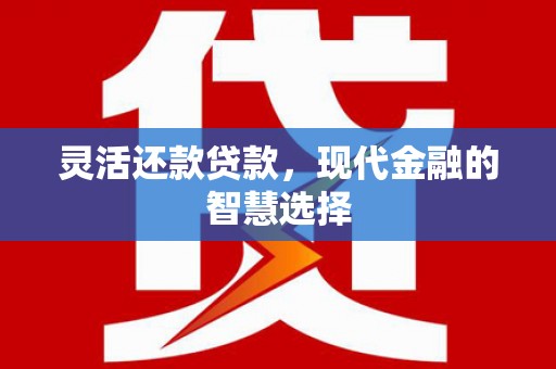 桑日灵活还款贷款，现代金融的智慧选择