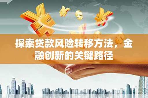 桑日探索贷款风险转移方法，金融创新的关键路径