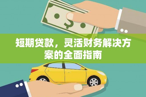 桑日短期贷款，灵活财务解决方案的全面指南