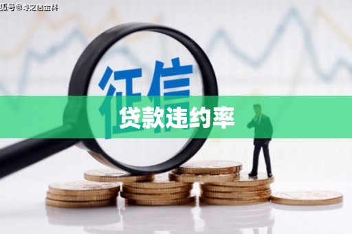 桑日贷款违约率