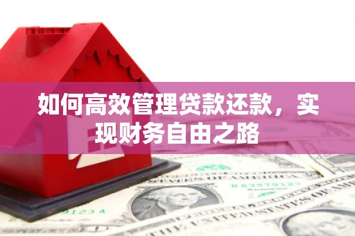 桑日如何高效管理贷款还款，实现财务自由之路