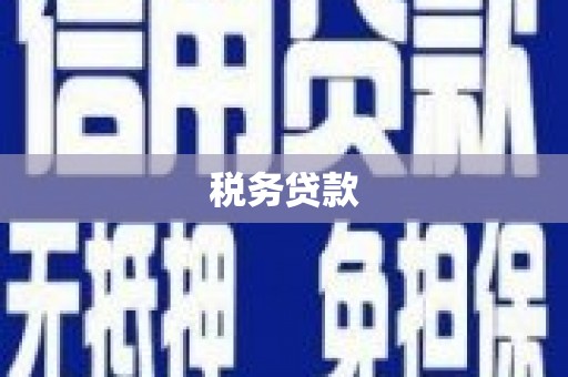 桑日税务贷款