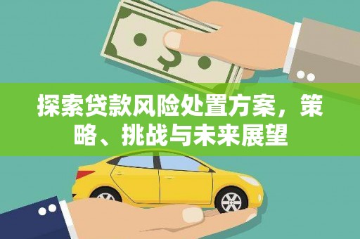 桑日探索贷款风险处置方案，策略、挑战与未来展望