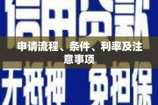 桑日申请流程、条件、利率及注意事项