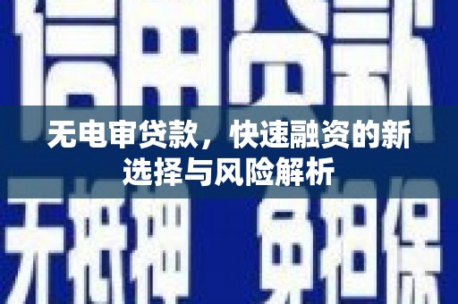 桑日无电审贷款，快速融资的新选择与风险解析