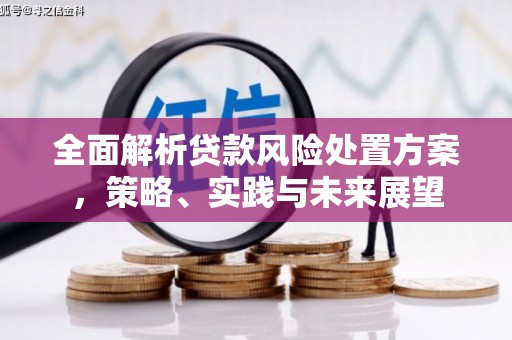 桑日全面解析贷款风险处置方案，策略、实践与未来展望