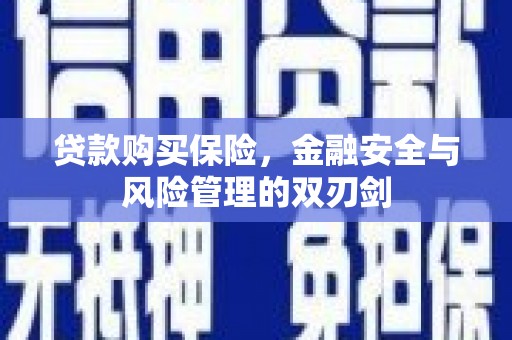 桑日贷款购买保险，金融安全与风险管理的双刃剑