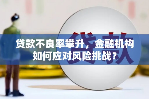 桑日贷款不良率攀升，金融机构如何应对风险挑战？