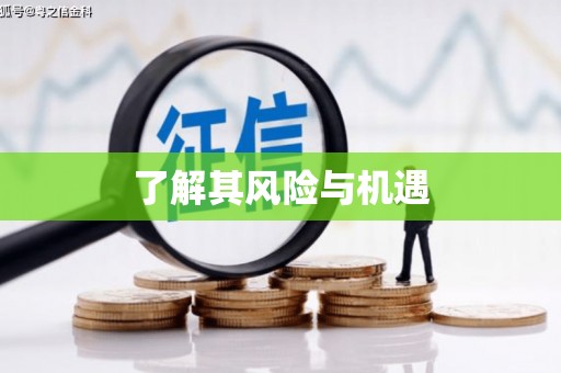 桑日了解其风险与机遇