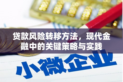 桑日贷款风险转移方法，现代金融中的关键策略与实践