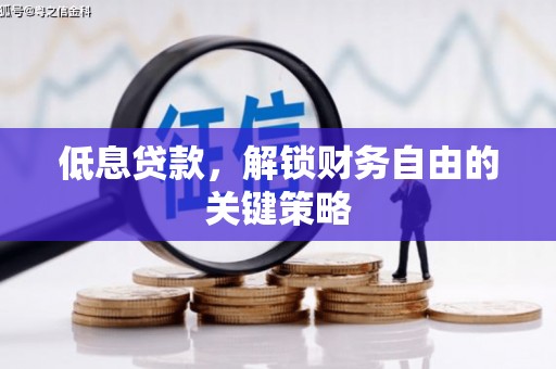 桑日低息贷款，解锁财务自由的关键策略