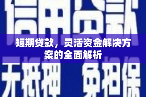 桑日短期贷款，灵活资金解决方案的全面解析