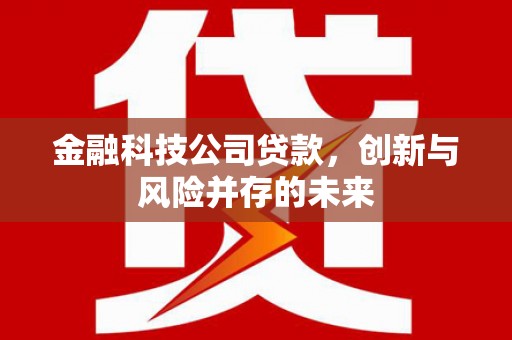桑日金融科技公司贷款，创新与风险并存的未来
