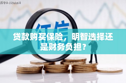 桑日贷款购买保险，明智选择还是财务负担？