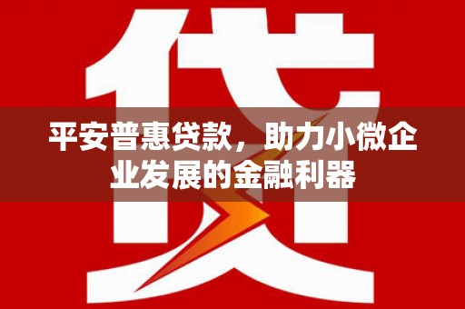 桑日平安普惠贷款，助力小微企业发展的金融利器