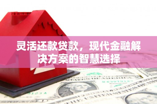 桑日灵活还款贷款，现代金融解决方案的智慧选择