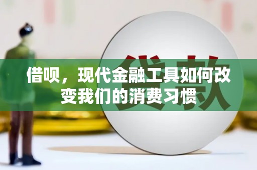 桑日借呗，现代金融工具如何改变我们的消费习惯