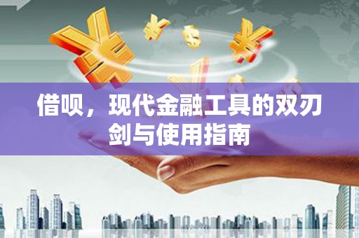 桑日借呗，现代金融工具的双刃剑与使用指南
