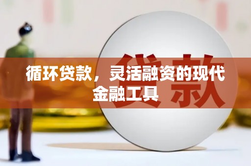桑日循环贷款，灵活融资的现代金融工具