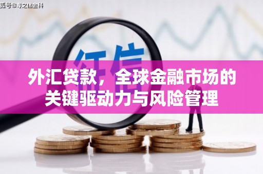 桑日外汇贷款，全球金融市场的关键驱动力与风险管理