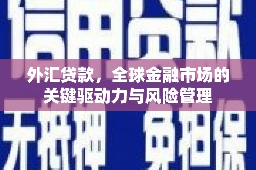 桑日外汇贷款，全球金融市场的关键驱动力与风险管理