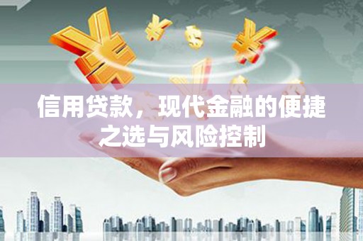 桑日信用贷款，现代金融的便捷之选与风险控制