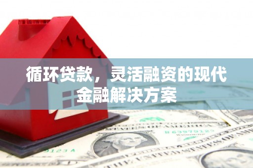 桑日循环贷款，灵活融资的现代金融解决方案