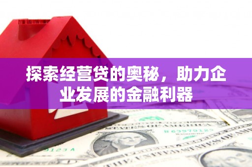 桑日探索经营贷的奥秘，助力企业发展的金融利器