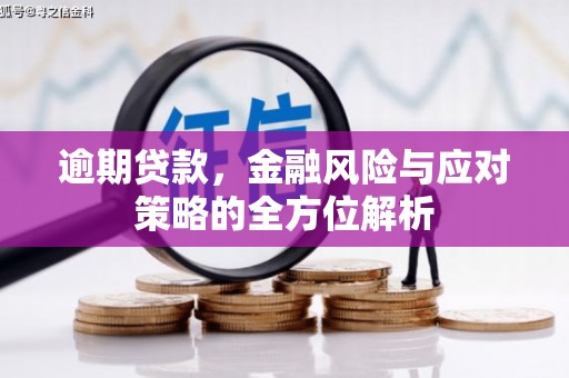 桑日逾期贷款，金融风险与应对策略的全方位解析