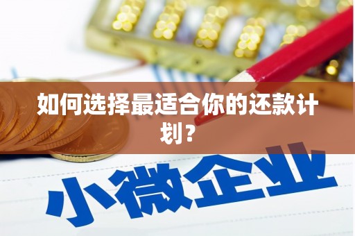 桑日如何选择最适合你的还款计划？
