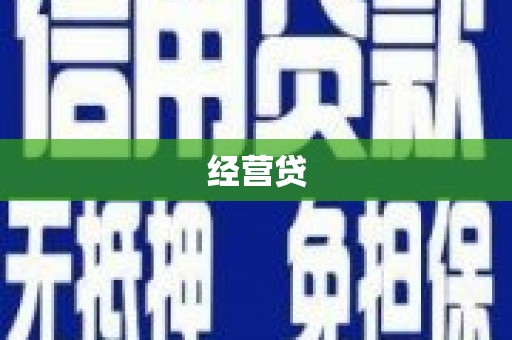 桑日经营贷