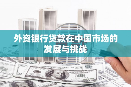 桑日外资银行贷款在中国市场的发展与挑战