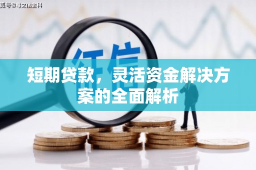 桑日短期贷款，灵活资金解决方案的全面解析