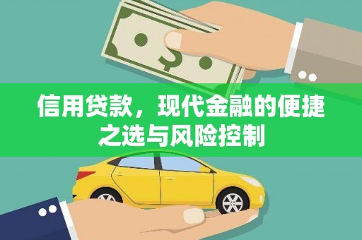 桑日信用贷款，现代金融的便捷之选与风险控制