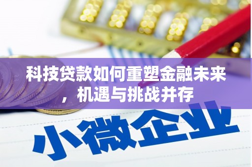 桑日科技贷款如何重塑金融未来，机遇与挑战并存