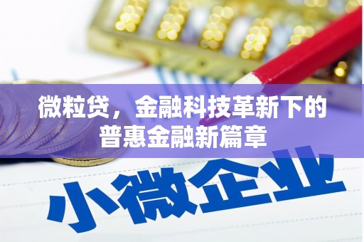 桑日微粒贷，金融科技革新下的普惠金融新篇章