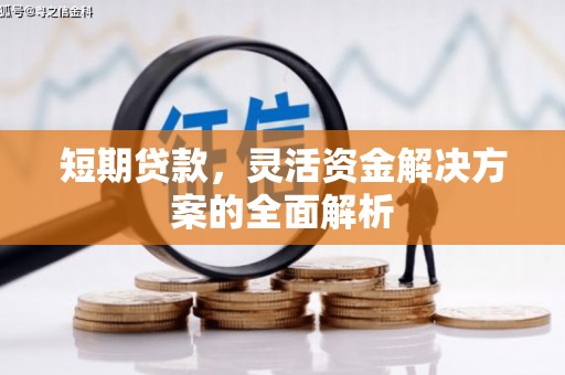 桑日短期贷款，灵活资金解决方案的全面解析