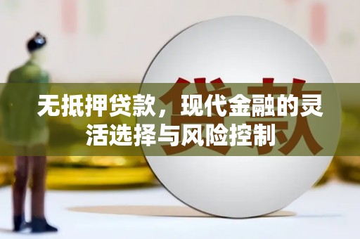 桑日无抵押贷款，现代金融的灵活选择与风险控制