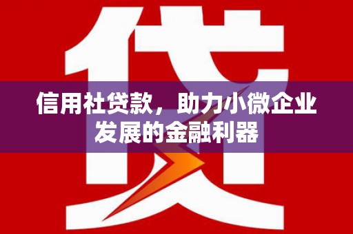 桑日信用社贷款，助力小微企业发展的金融利器