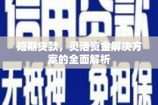 桑日短期贷款，灵活资金解决方案的全面解析