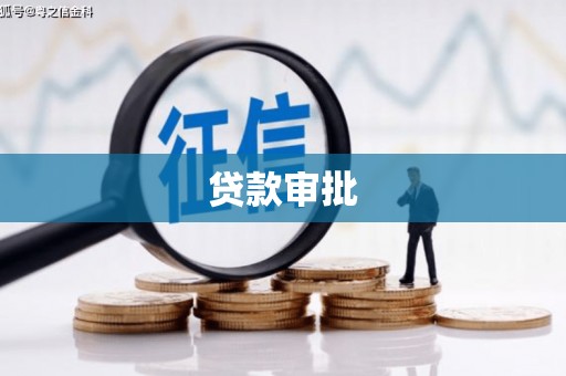 桑日贷款审批