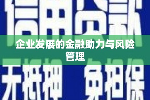 桑日企业发展的金融助力与风险管理