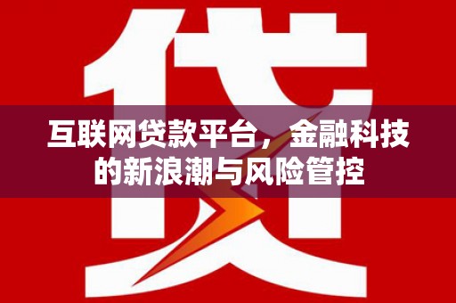 桑日互联网贷款平台，金融科技的新浪潮与风险管控