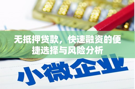 桑日无抵押贷款，快速融资的便捷选择与风险分析
