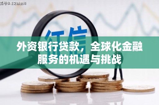 桑日外资银行贷款，全球化金融服务的机遇与挑战